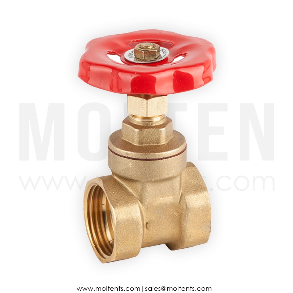 CHW Gate Valve